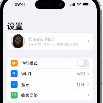 青河appleID维修服务iPhone设置中Apple ID显示为灰色无法使用 