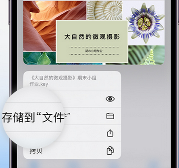 青河apple维修中心分享iPhone文件应用中存储和找到下载文件