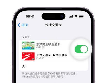 青河apple维修点分享iPhone上更换Apple Pay快捷交通卡手绘卡面 