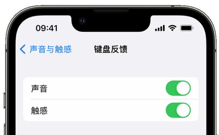 青河苹果手机维修分享iPhone 14触感键盘使用方法 