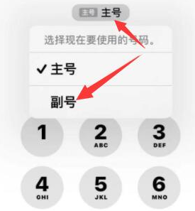 青河苹果14维修店分享iPhone 14 Pro Max使用副卡打电话的方法 