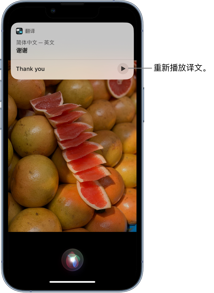 青河苹果14维修分享 iPhone 14 机型中使用 Siri：了解 Siri 能帮你做什么 