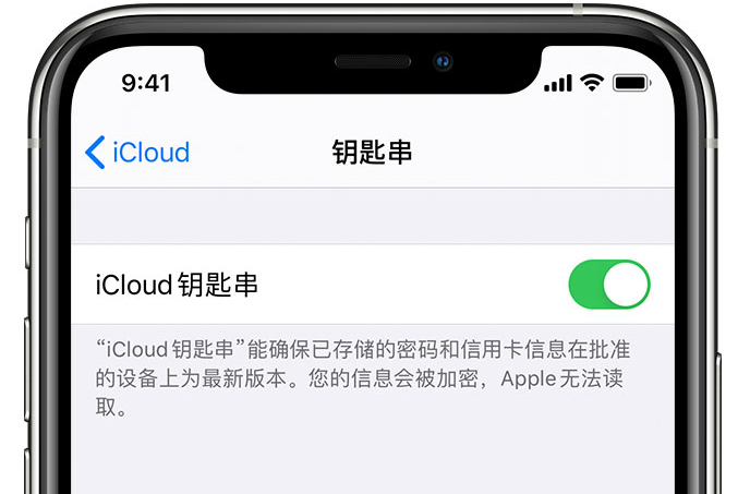 青河苹果手机维修分享在 iPhone 上开启 iCloud 钥匙串之后会储存哪些信息 
