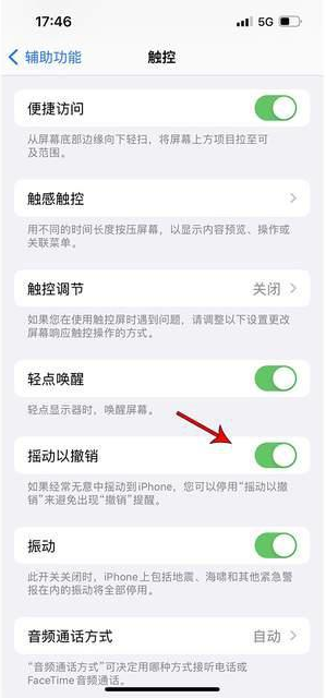 青河苹果手机维修分享iPhone手机如何设置摇一摇删除文字 