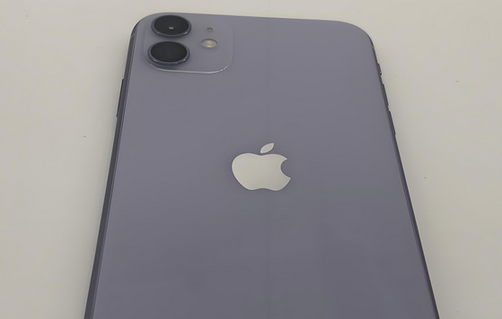 青河苹果11系统维修分享iPhone11手机系统崩溃无法开机如何解决 
